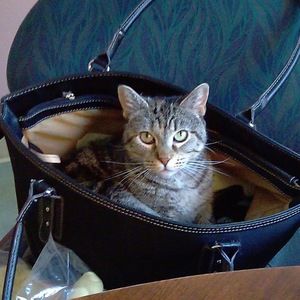 Meet your Posher, John